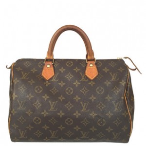 Speedy Louis Vuitton