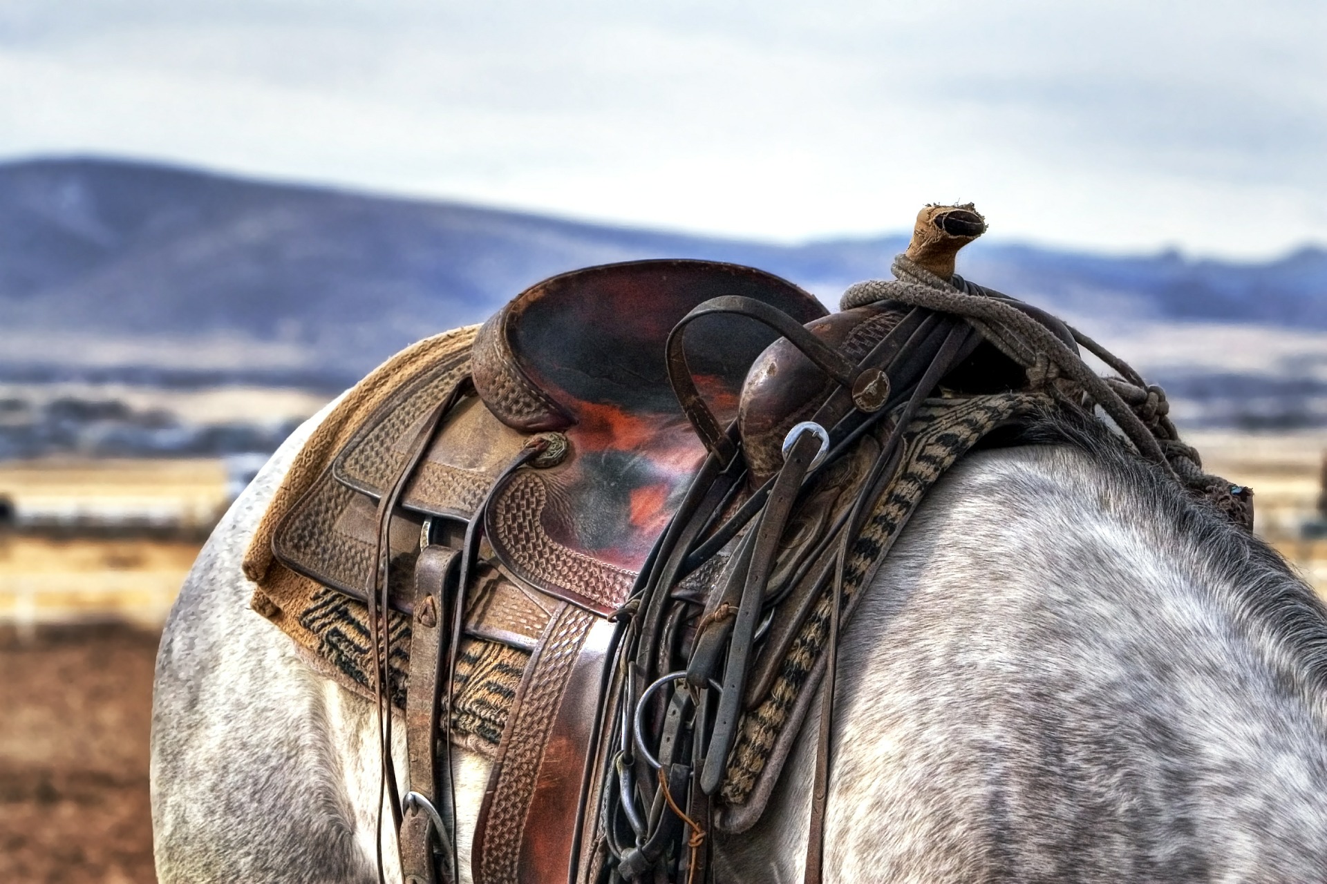 Cowboy-Look: Cowgirls are back in town